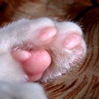 まりにあ 会員画像