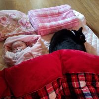 クロモコミー 会員画像