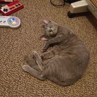 ノリヒト 会員画像