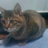 mameyann 会員画像