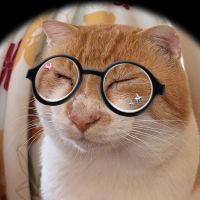 おもちのもっちゃん
