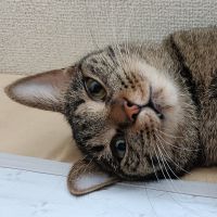 うんさん