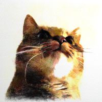 川辺たまごさん