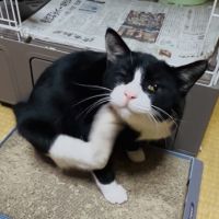 山口市さん