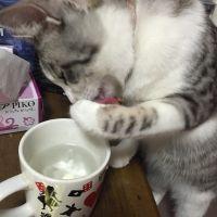 宇海 会員画像
