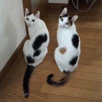 会員画像