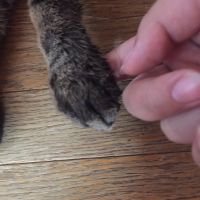 会員画像