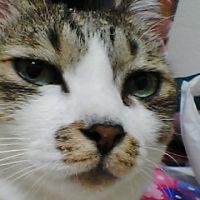 会員画像