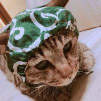 すち 会員画像