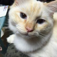 りりー・まりー 会員画像
