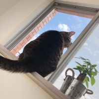 由紀ママ 会員画像