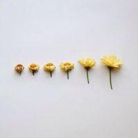 会員画像