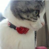 会員画像