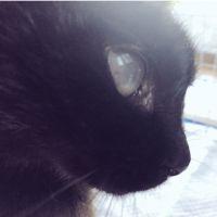 せっちゃん(花) 会員画像