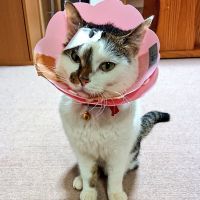 大分テツタロウ 会員画像