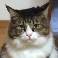 会員画像