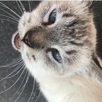 ゆおまる 会員画像