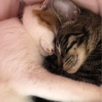 ワッキン 会員画像