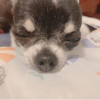 Hono08 会員画像