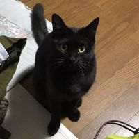 エレパパ 会員画像