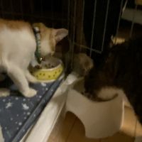 みらんママ 会員画像