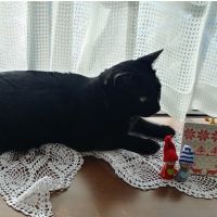 会員画像