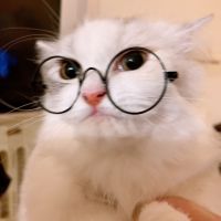 Latte920 会員画像