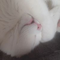 りいさん 会員画像