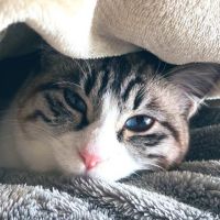 みよ711 会員画像