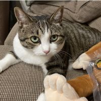 はなららちん 会員画像