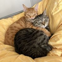 むぎ子 会員画像