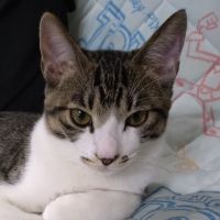 成田コタロー 会員画像