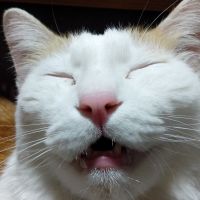 みちみち　さん