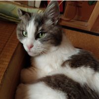 (っ˘з(˘⌣˘ ) 会員画像