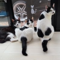 大福ちゃんのママ 会員画像