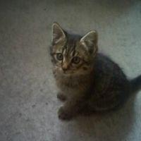 リリリのリー 会員画像