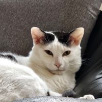 ゆきぶんたさん