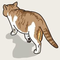 シロクマさんさん