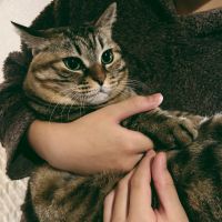 あおこ419さん