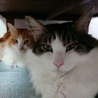 みさひさん