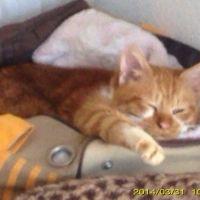 hara1163 会員画像