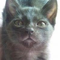 ルルン 会員画像