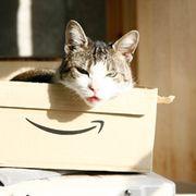 こや〜ん 会員画像