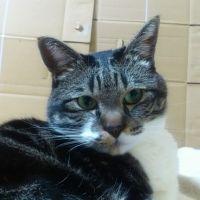 のみすけ 会員画像