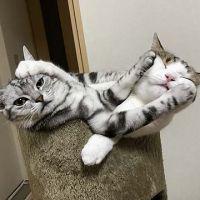会員画像