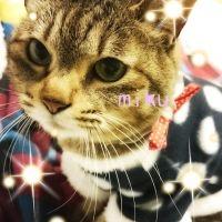 会員画像