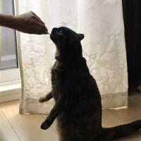 ゆーりたん 会員画像