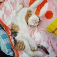 会員画像
