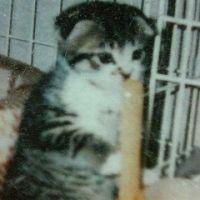 和ママちゃま 会員画像