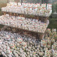 会員画像